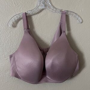 Cacique Lane Bryant Lightly Lined Wire Free Bra Purple 46DD